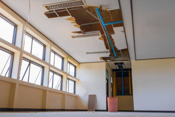 Best Ceiling water damage repair  in Eastover, NC