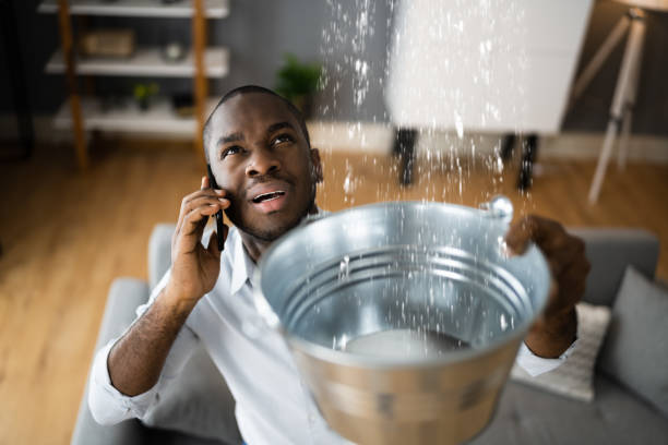 Best Flooded house restoration  in Eastover, NC