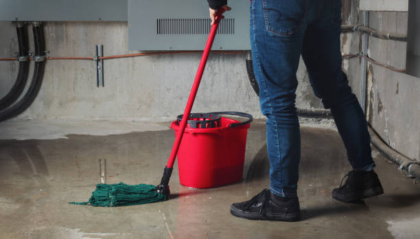 Best Commercial water damage restoration  in Eastover, NC