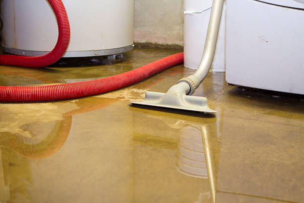 Best Water damage cleanup near me  in Eastover, NC