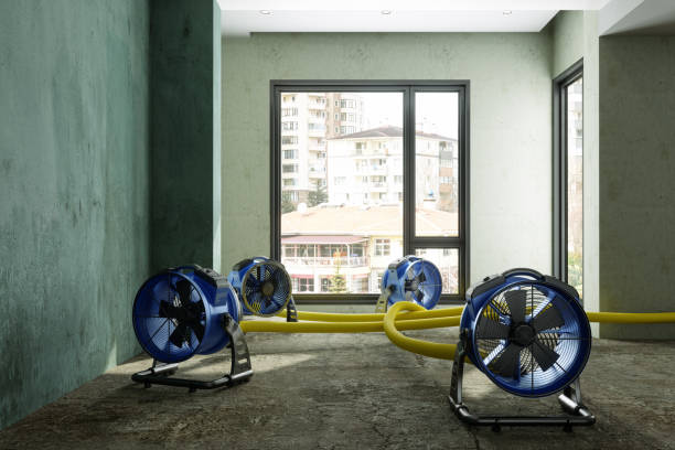 Best 24/7 water damage repair  in Eastover, NC